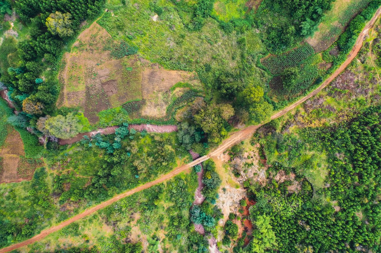 Mastering the First Impression: Your intriguing post title goes here Drone view of the lush, rural landscape in Makete, Tanzania, showcasing diverse vegetation.
