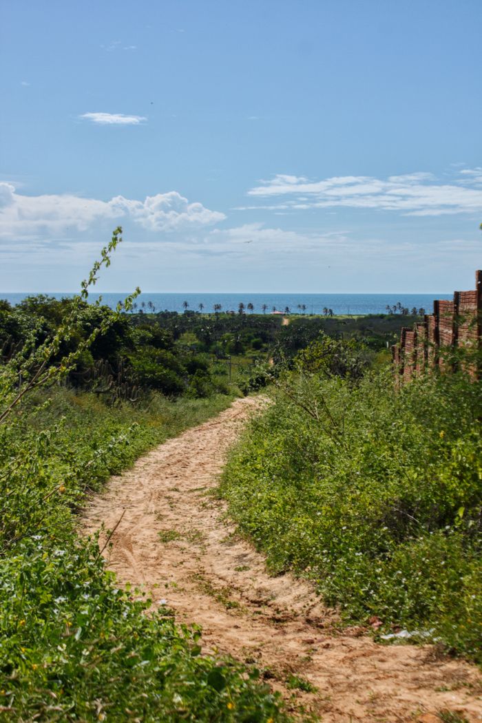 pexels-photo-17857206 Peaceful rural path through lush greenery, leading to a distant sea under a summer sky.